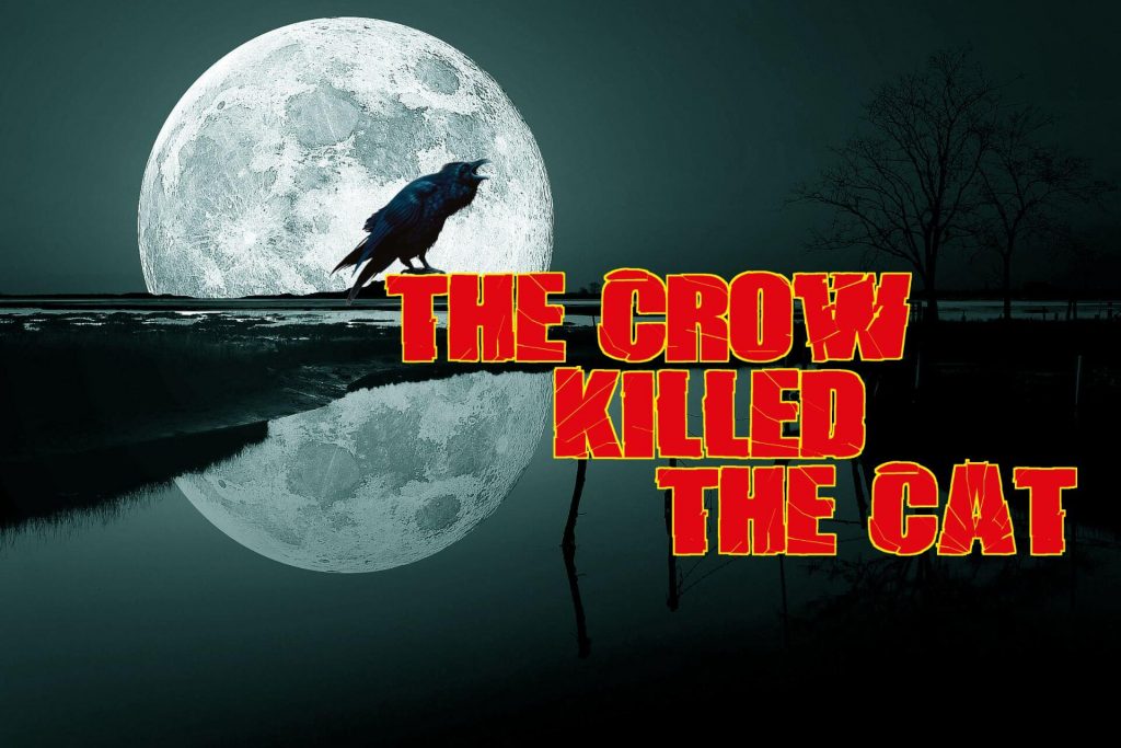 Coming Soon - The Crow Killed The Cat - Fenomena Filmproduction